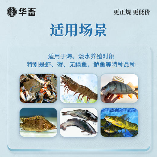 华畜 光合细菌2L 降解氨氮 改良水质 水产专用 商品图3