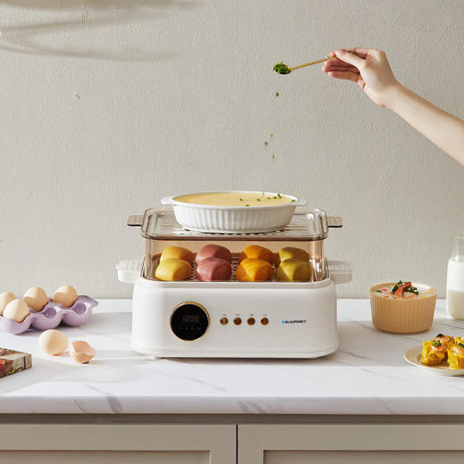 蓝宝鲜蒸锅电蒸锅蒸炖锅多功能家用隔水炖盅全自动预约蒸汽锅电煮锅电炖锅 【炖盅标配+蒸笼】BP-ZG【伊藤优选302401】 商品图3