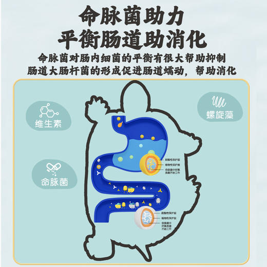 陆龟成龟粮全新升级高钙高纤维经典 商品图2