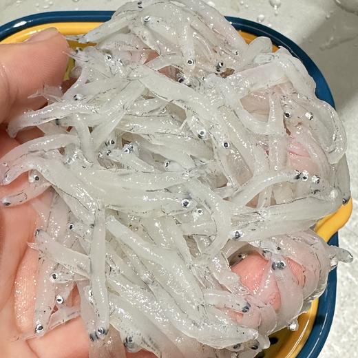 🐟东海纯野生海捕小银鱼（新鲜水冻）/3盒装/约220/盒 商品图1