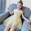 女童连衣裙夏装2023新款洋气夏季童装小女孩公主裙纱裙儿童裙子夏 商品缩略图3
