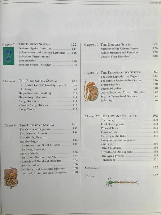 人体解剖图解指南 数百幅彩色插图 精装大16开 商品图7