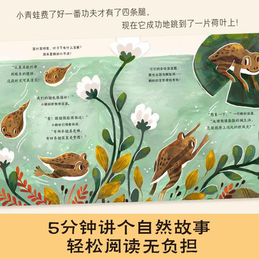 【玩具反斗城】5分钟自然故事 丛林奇迹每yi天 商品图3