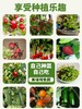 有机联盟植物 商品缩略图2