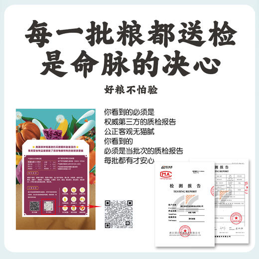 陆龟幼龟粮全新升级高钙高纤维经典 商品图1