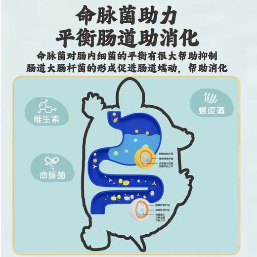 【补钙增体】金装系列50%高蛋白快速成长型诱食龟苗开口粮0-1岁稚龟粮 商品图2