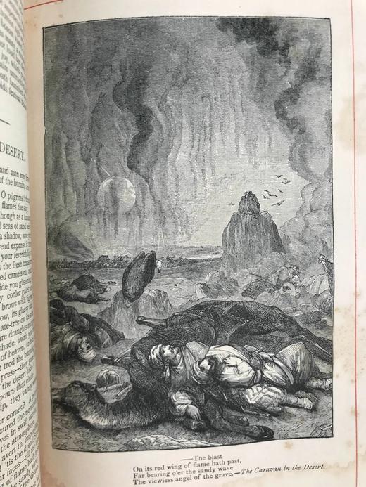 约19世纪后期 赫曼斯夫人诗集 8幅插图 全真皮精装32开 商品图5