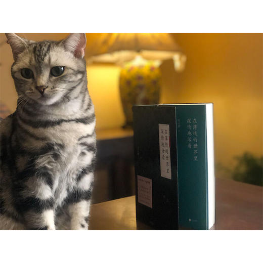 在薄情的世界里深情地活着新版 雪小禅 著 散文随笔书信 商品图1