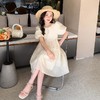 女童夏装连衣裙2023新款童装儿童洋气女孩公主裙女大童裙子夏季 商品缩略图0