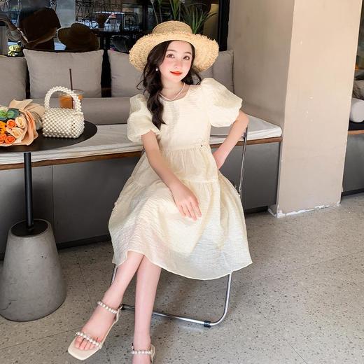 女童夏装连衣裙2023新款童装儿童洋气女孩公主裙女大童裙子夏季 商品图0