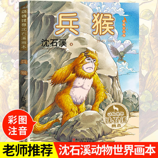 沈石溪动物世界画本《兵猴》经典名著 商品图0