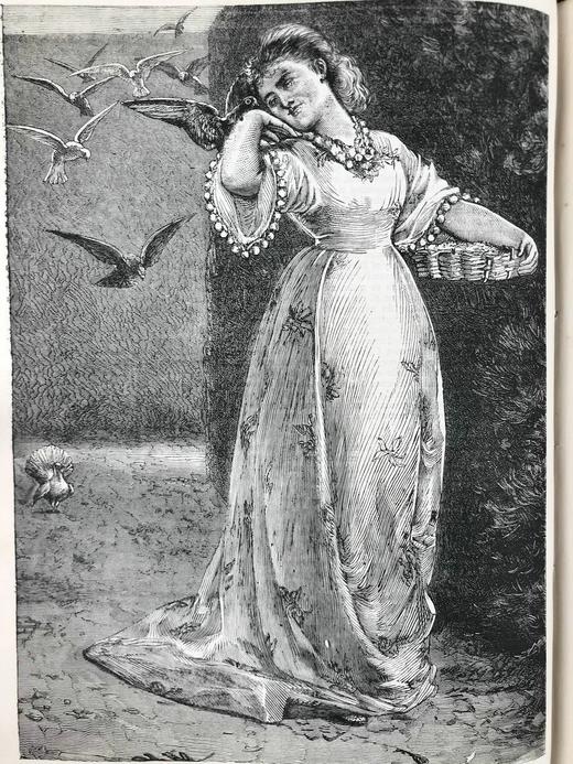 约19世纪后期 休息日画报 320幅插图 真皮精装大16开 商品图13