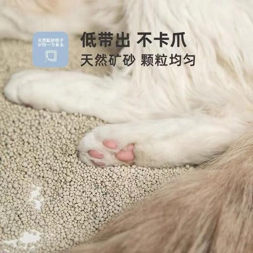 【吸水易结团】萌味膨润土除臭低尘天然猫砂2.8kg 商品图3