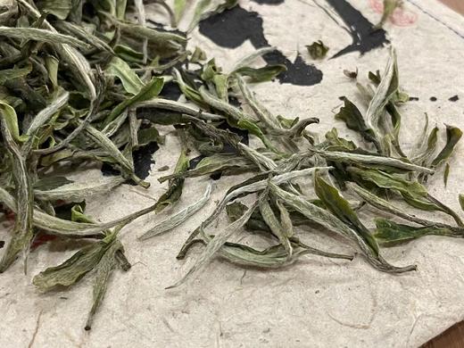 枞古大巧 白牡丹 荒小白 极枞荒野老树 90克/罐 200克/盒 商品图3