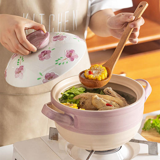 摩登主妇砂锅家用陶瓷锅耐高温煤气灶炖汤煲汤土锅汤锅煲仔饭沙锅 商品图1