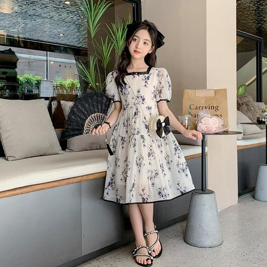 女童夏装连衣裙2023新款童装儿童公主裙水墨画中国风夏季女孩裙子 商品图1