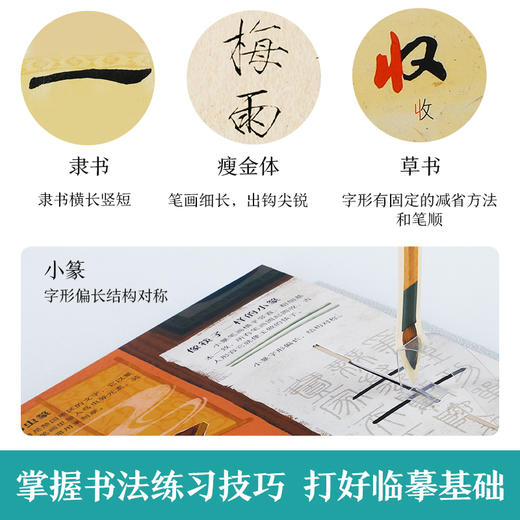乐乐趣-传统文化互动立体书 书法 商品图6