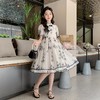 女童夏装汉服连衣裙2023新款旗袍裙女孩公主裙儿童夏季中国风裙子 商品缩略图3