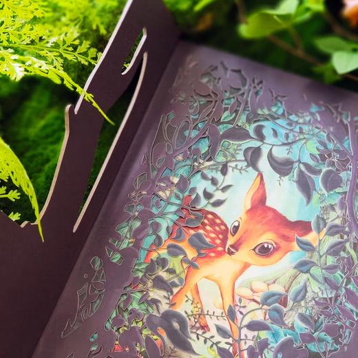 世界儿童文学经典（ 共6册） 商品图12