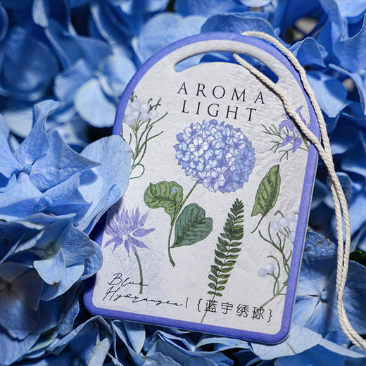 庭中花园系列香薰挂件香片 商品图2