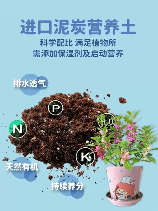 有机联盟植物 商品图10