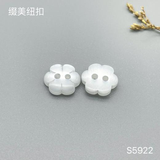 S5922(整包购买) 商品图0