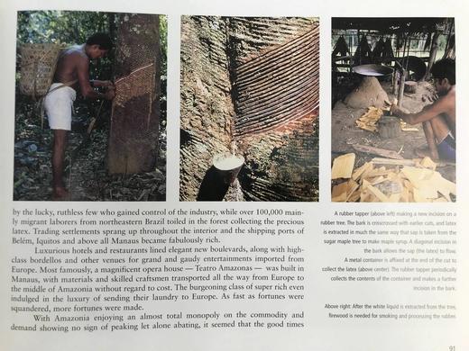 亚马逊自然风物志 数百幅插图 精装大16开 商品图12