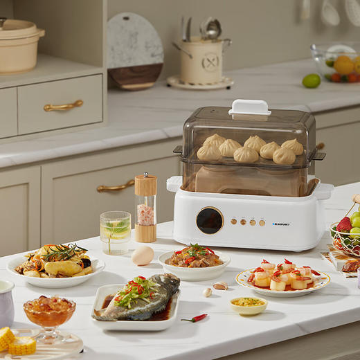 蓝宝鲜蒸锅电蒸锅蒸炖锅多功能家用隔水炖盅全自动预约蒸汽锅电煮锅电炖锅 【炖盅标配+蒸笼】BP-ZG【伊藤优选302401】 商品图0