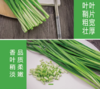 韭菜约500g【BC】【QC】 商品缩略图3