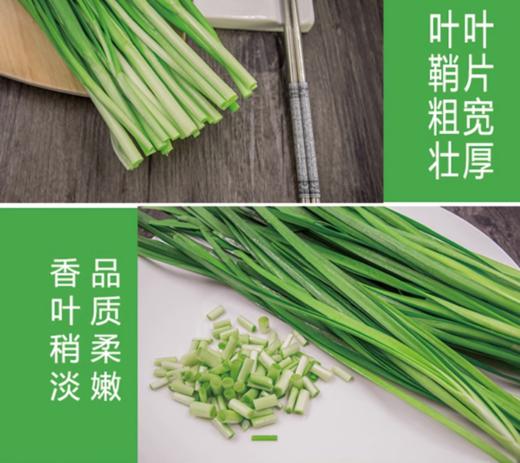 韭菜约500g【BC】【QC】 商品图3