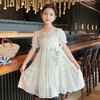 女童清凉雪纺连衣裙夏天2023新款夏季童装女孩公主裙薄款儿童裙子 商品缩略图0