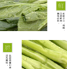 菜心约500g【BC】【QC】 商品缩略图4