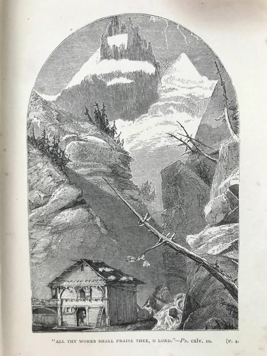 约19世纪后期 自然的巨大奇迹 福斯特数十幅插图 漆布精装32开 商品图12