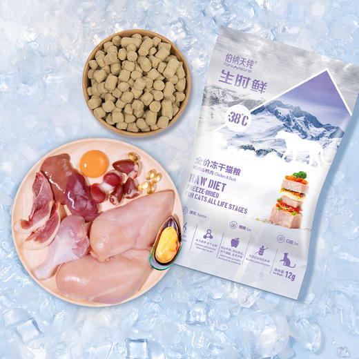 【赠品】伯纳天纯生时鲜全价冻干猫粮鸡肉鸭肉  12g*3 商品图3
