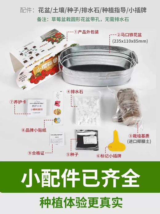 有机联盟植物 商品图4