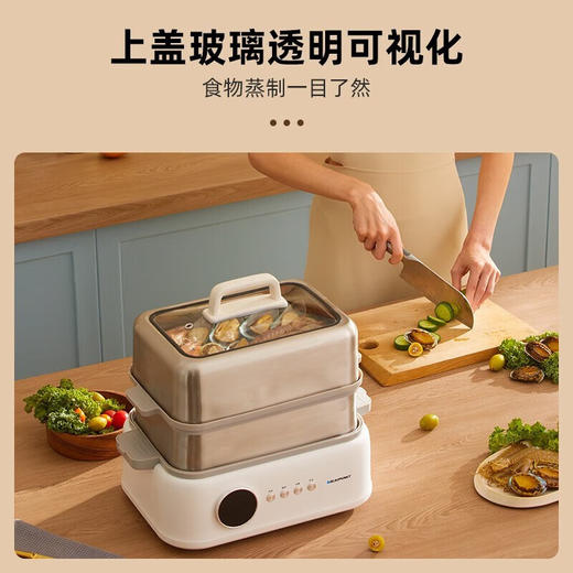 蓝宝 聚能鲜蒸锅电蒸锅蒸炖锅多功能家用隔水炖盅全自动预约蒸汽锅电煮锅电炖锅 【不锈钢款-双层】电蒸锅【伊藤优选302401】 商品图4