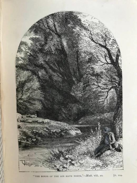 约19世纪后期 自然的巨大奇迹 福斯特数十幅插图 漆布精装32开 商品图5