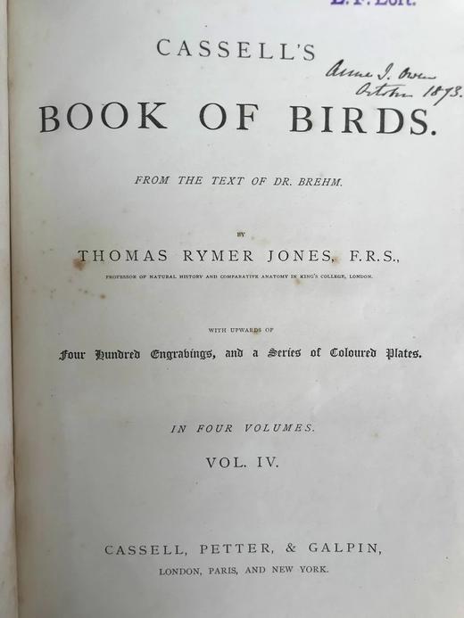 约19世纪后期 卡塞尔鸟类图鉴（卷4） 10幅彩色85幅黑白插图 漆布精装16开 商品图3