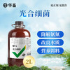 华畜 光合细菌2L 降解氨氮 改良水质 水产专用 商品缩略图0