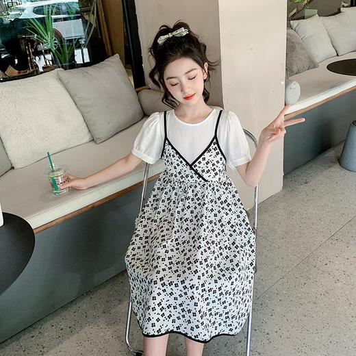 女童夏装碎花公主裙2023新款洋气女孩童装儿童裙子夏季雪纺连衣裙 商品图2