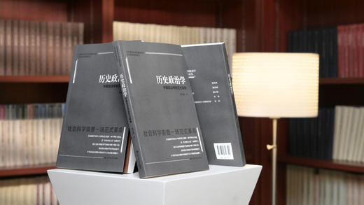 历史政治学：中国政治学的范式 /杨光斌 商品图3