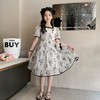 女童夏装连衣裙2023新款童装儿童公主裙水墨画中国风夏季女孩裙子 商品缩略图3