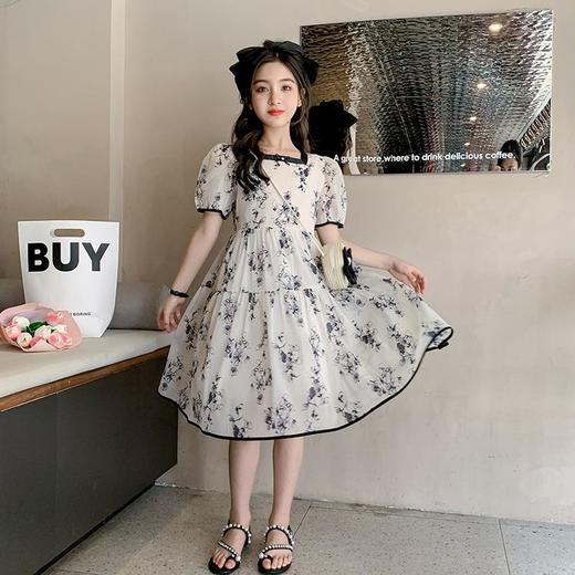 女童夏装连衣裙2023新款童装儿童公主裙水墨画中国风夏季女孩裙子 商品图3