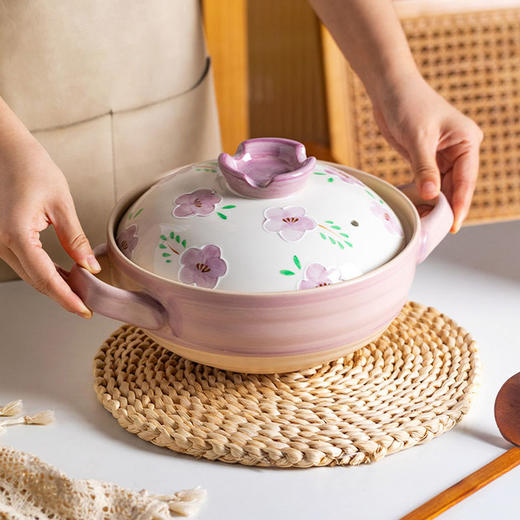 摩登主妇砂锅家用陶瓷锅耐高温煤气灶炖汤煲汤土锅汤锅煲仔饭沙锅 商品图2