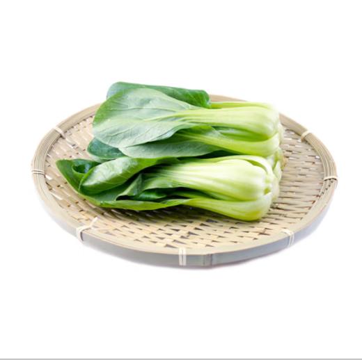 小青菜 约500g【BC】【QC】 商品图2