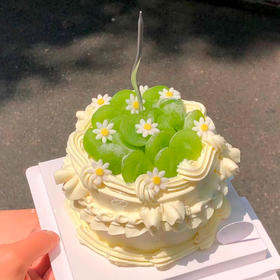 【香印青提】一口吃掉夏天，吧唧吧唧 动物奶油 水果蛋糕