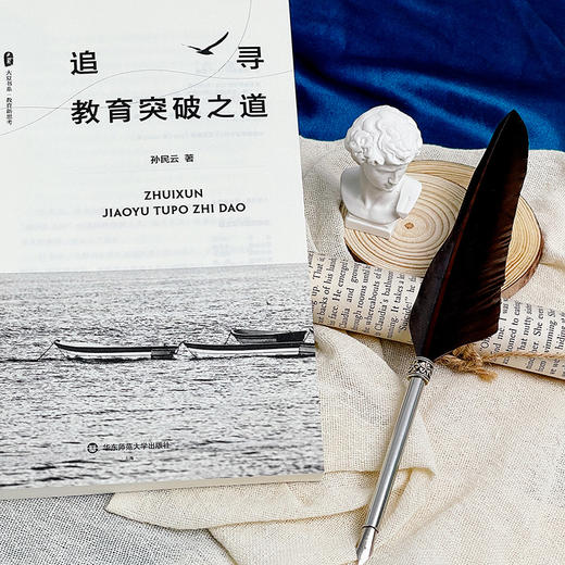 追寻教育突破之道 大夏书系 孙民云著 教师教育教学素养提升 商品图6