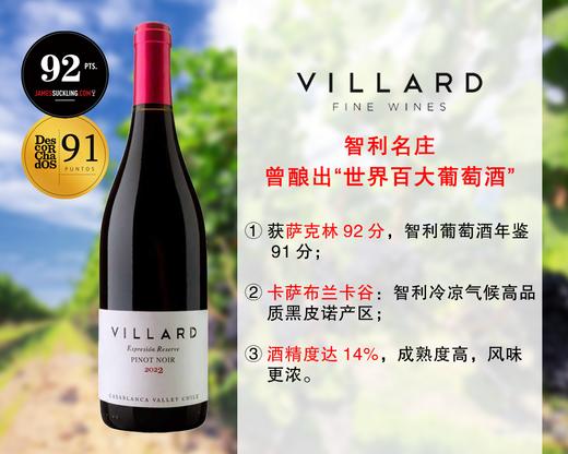 【现货特促，整箱更优惠】智利10大家族名庄：维拉酒庄珍藏黑皮诺干红（2022年） 商品图0