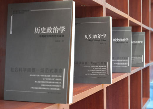 历史政治学：中国政治学的范式 /杨光斌 商品图6