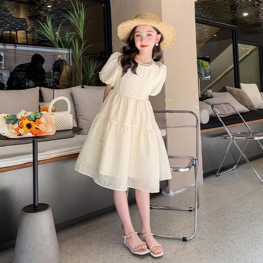 女童夏装连衣裙2023新款童装儿童洋气女孩公主裙女大童裙子夏季 商品图1